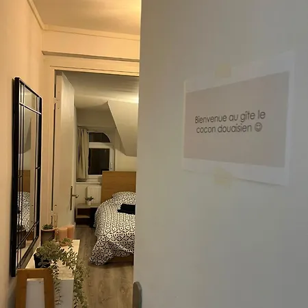 Le Cocon Douaisien Apartment *